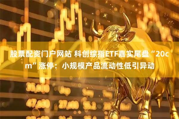 股票配资门户网站 科创综指ETF嘉实尾盘“20cm”涨停：小规模产品流动性低引异动